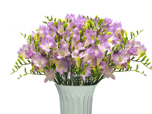 Фрезия лиловая