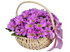 Мендельсон - картинка 1