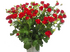 Фридом