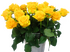 Пенни Лейн