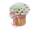 Зефира